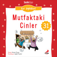 Nuran Turan. Kır ?yk?leri – Mutfaktaki cinler