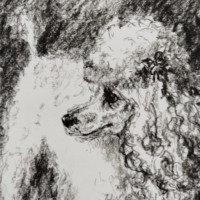 Наталья Дедкова. Замечательная Шуша