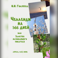 Ольга Голубева. ЧЕЛЛЕНДЖ НА 366 ДНЕЙ или Заметки начинающего писателя. Часть 2