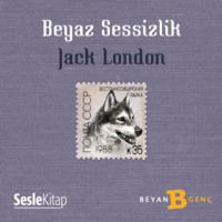 . Beyaz Sessizlik