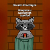 Роман Романцов. Встреча с мусорной пандой