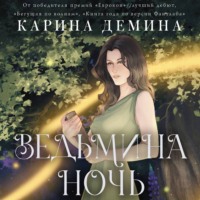 Карина Демина. Ведьмина ночь