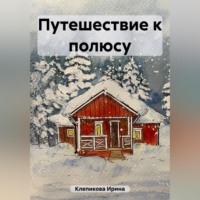 Ирина Клепикова. Путешествие к полюсу