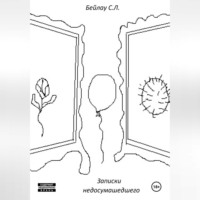 Сергей Леонидович Бейлау. записки недосумашедшего