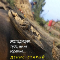 Денис Старый. Экспедиция туда, но не обратно.