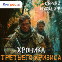 . Хроника Третьего Кризиса