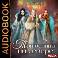 . Три девицы. Книга 2. Три девицы на севере