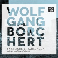 Wolfgang Borchert. Erz?hlungen (Audio Test) - Testreihe H?rbuch - Ein Testtitel, Band 1 (Ungek?rzt)