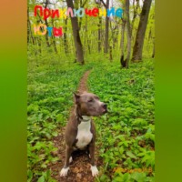 Игорь Абалдуев. Приключение Юты.