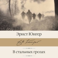 Эрнст Юнгер. В стальных грозах
