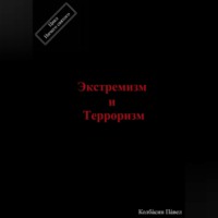 Павел Колбасин. Экстремизм и терроризм