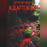 Женя Виненко. Адаптация