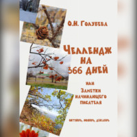 Ольга Голубева. ЧЕЛЛЕНДЖ НА 366 ДНЕЙ. Часть 4. Октябрь, ноябрь, декабрь.