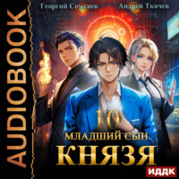 . Младший сын князя. Книга 10