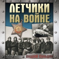 Андрей Сульдин. Летчики на войне