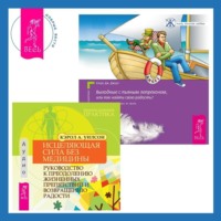 . Выходные с пьяным Лепреконом, или Как найти свою радость? Исцеляющая сила без медицины. Руководство к преодолению жизненных препятствий и возвращению радости