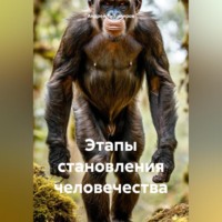. Этапы становления человечества
