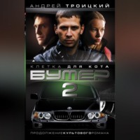 . Бумер-2: Клетка для кота