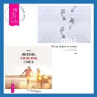 . Когда туфли не жмут. Беседы по историям даосского мистика Чжуан-цзы. Жизнь, любовь, смех. Превращая жизнь в праздник