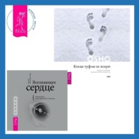 . Когда туфли не жмут. Беседы по историям даосского мистика Чжуан-цзы. Всезнающее сердце. Пробуждение вашего внутреннего провидца