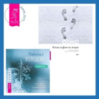 . Когда туфли не жмут. Беседы по историям даосского мистика Чжуан-цзы. Работа с холодом. Путь внутреннего исцеления и преображения