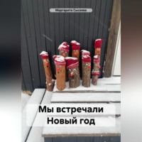 . Мы встречали Новый год