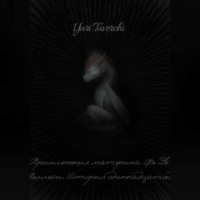 Yari Taverchi. Приключения материка Фе Де Хеллэси. История одиннадцатой