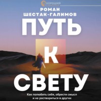Роман Шестак-Галимов. Путь к свету. Как полюбить себя, обрести смысл и не раствориться в других