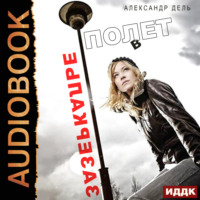 . Полет в зазеркалье