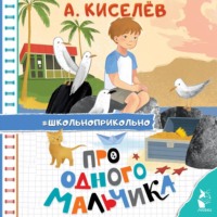 . Про Одного Мальчика