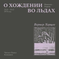 Вернер Херцог. О хождении во льдах