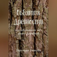 Вероника Баянова. Объятия Древности. Путеводитель по миру Деревьев