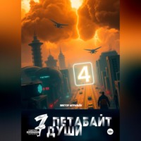 . 7 Петабайт души. 4 часть