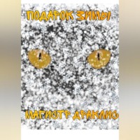 Магистр Драклис. Подарок Зимы