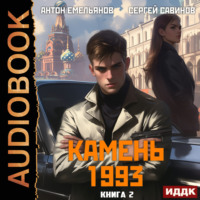 . Камень 1993. Книга 2
