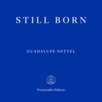 Guadalupe  Nettel. Still Born