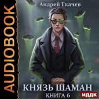 . Князь шаман. Книга 6