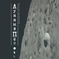 Игорь Кильбия. Лунный пёс
