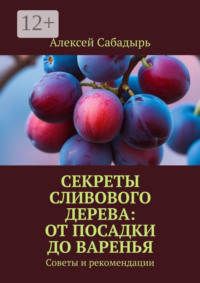 Секреты сливового дерева: от посадки до варенья. Советы и рекомендации