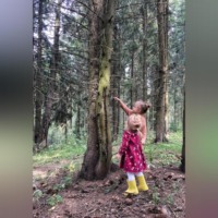 Дарья Юрьевна Кошелева. Разочарованный лес