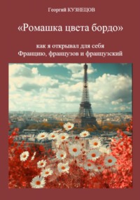 Ромашка цвета бордо