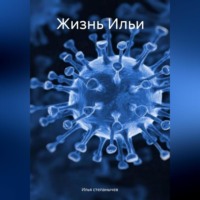Илья степанычев. Жизнь Ильи