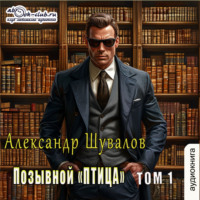 . Позывной «ПТИЦА». Том 1