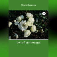 . Белый шиповник