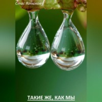 Стас Ягнюков. Такие же, как мы