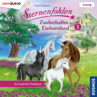Linda  Chapman. Im Land der Einh?rner - Sternenfohlen - Zauberhaftes Einhornland, Teil 1 (ungek?rzt)