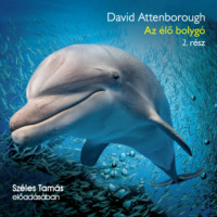 David Attenborough. Az ?lő bolyg? - 2. r?sz (teljes)