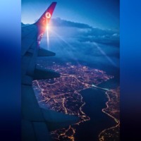 Ольга Амонова. Каждый кулик свое болото хвалит