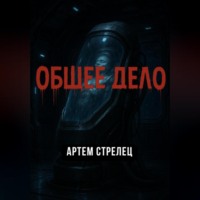 Артем Стрелец. Общее дело