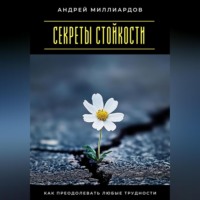 . Секреты стойкости. Как преодолевать любые трудности